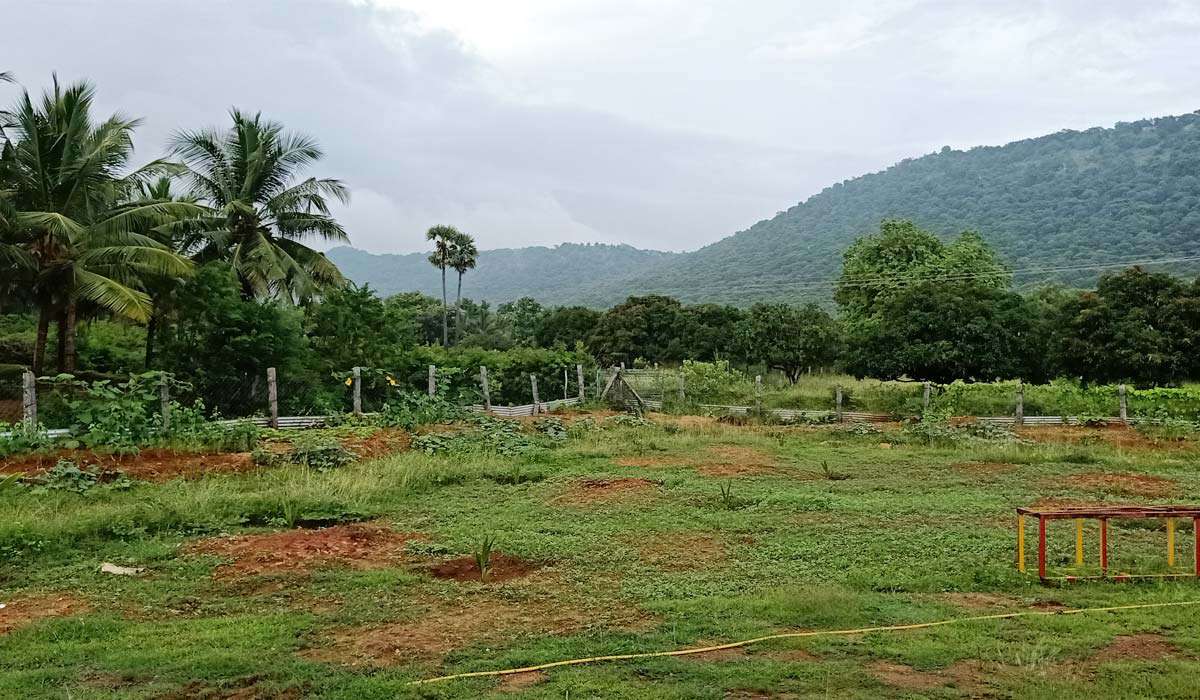 Slide3